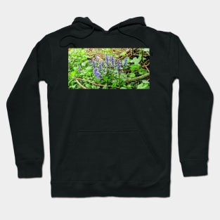 Colony Hoodie